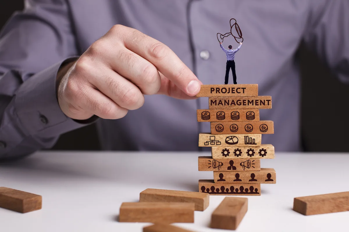 software development outsourcing model