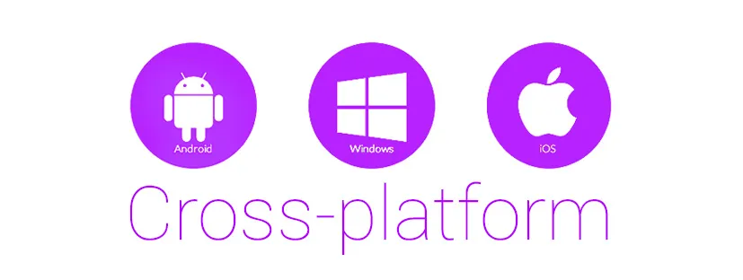 Cross-Platform Mobile App Development