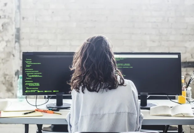 Software Development 
