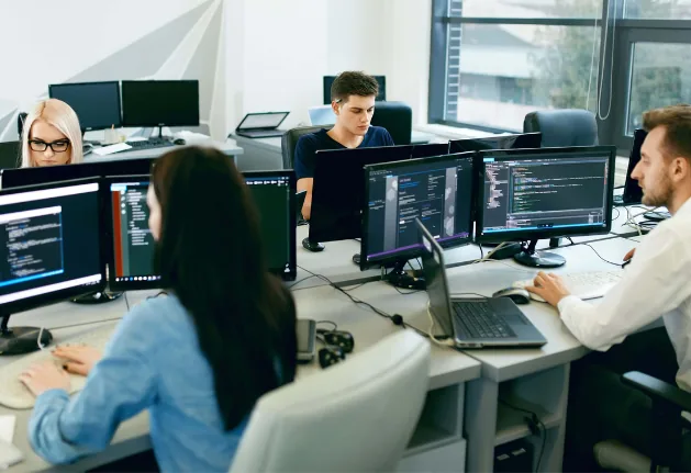 Software Development Company